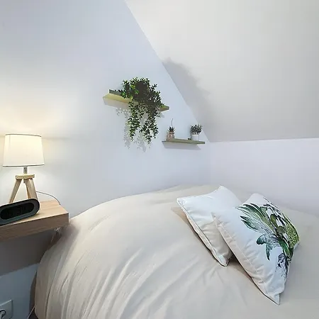 Apartment Le Jardin Des Plantes Et F2 Au Calmes, Terrasse, Stationnement Gratuit