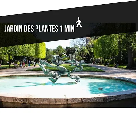 Le Jardin Des Plantes Et F2 Au Calmes, Terrasse, Stationnement Gratuit Rouen