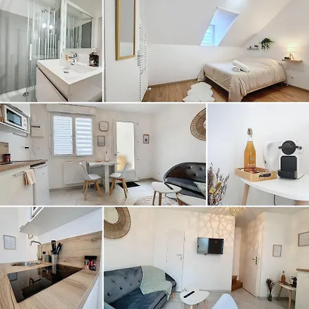 Le Jardin Des Plantes Et F2 Au Calmes, Terrasse, Stationnement Gratuit Apartment Rouen