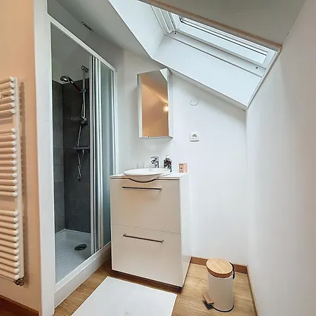 Апартаменты Le Jardin Des Plantes Et F2 Au Calmes, Terrasse, Stationnement Gratuit *