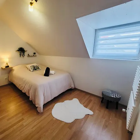 Le Jardin Des Plantes Et F2 Au Calmes, Terrasse, Stationnement Gratuit * Руан