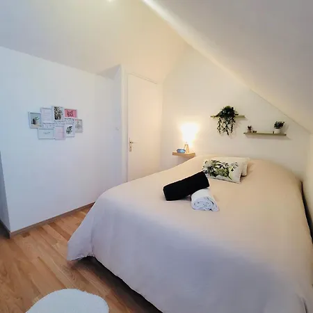 Le Jardin Des Plantes Et F2 Au Calmes, Terrasse, Stationnement Gratuit