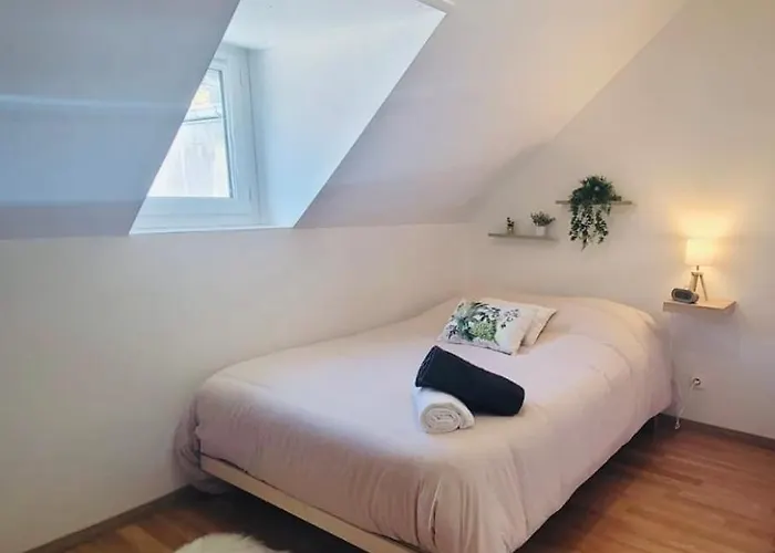 Le Jardin Des Plantes Et F2 Au Calmes, Terrasse, Stationnement Gratuit Appartement *