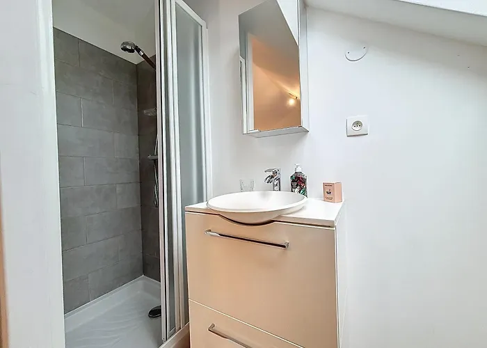 Appartement Le Jardin Des Plantes Et F2 Au Calmes, Terrasse, Stationnement Gratuit Rouen