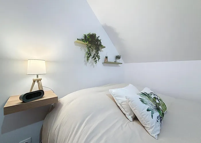 Appartement Le Jardin Des Plantes Et F2 Au Calmes, Terrasse, Stationnement Gratuit