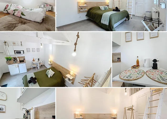 Appartement Le Jardin Des Plantes Et F2 Au Calmes, Terrasse, Stationnement Gratuit