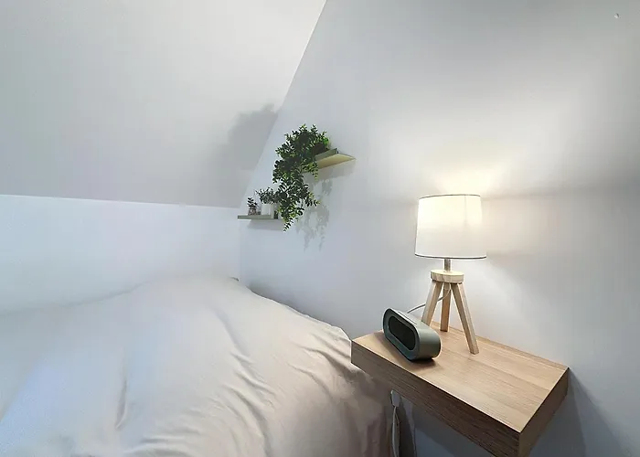 Le Jardin Des Plantes Et F2 Au Calmes, Terrasse, Stationnement Gratuit *