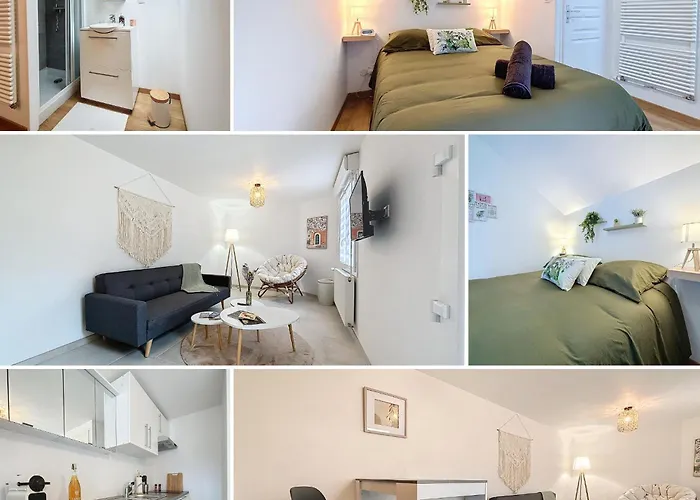 Le Jardin Des Plantes Et F2 Au Calmes, Terrasse, Stationnement Gratuit Appartement *