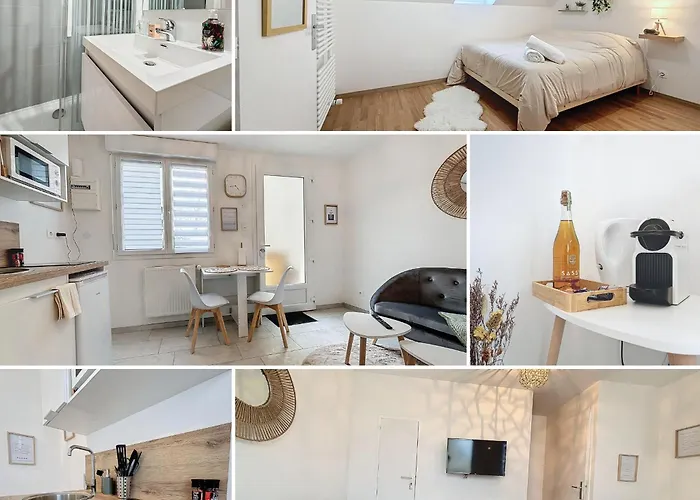 Le Jardin Des Plantes Et F2 Au Calmes, Terrasse, Stationnement Gratuit Appartement Rouen