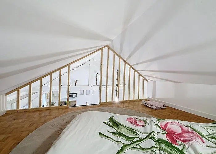 Appartement Le Jardin Des Plantes Et F2 Au Calmes, Terrasse, Stationnement Gratuit