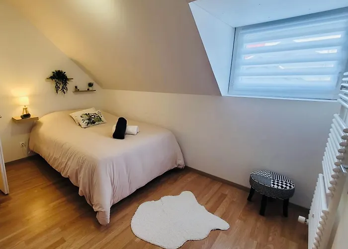 Le Jardin Des Plantes Et F2 Au Calmes, Terrasse, Stationnement Gratuit * Rouen