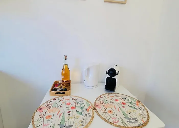 Appartement Le Jardin Des Plantes Et F2 Au Calmes, Terrasse, Stationnement Gratuit