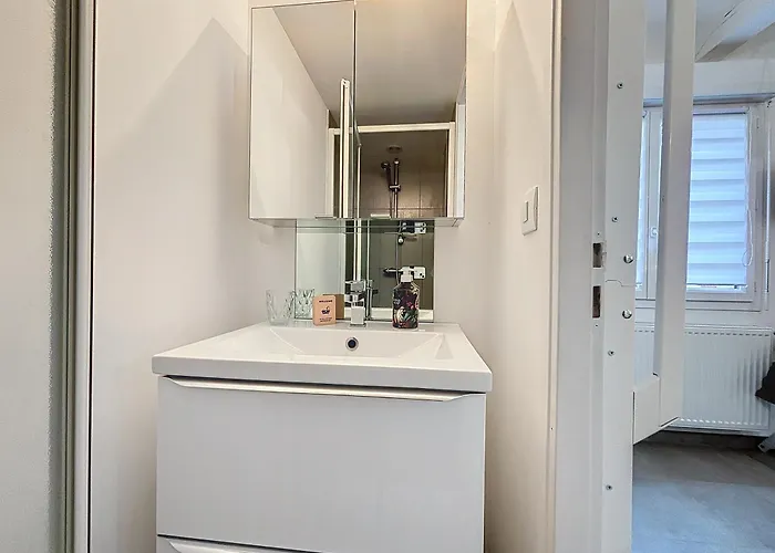 Le Jardin Des Plantes Et F2 Au Calmes, Terrasse, Stationnement Gratuit Appartement Rouen