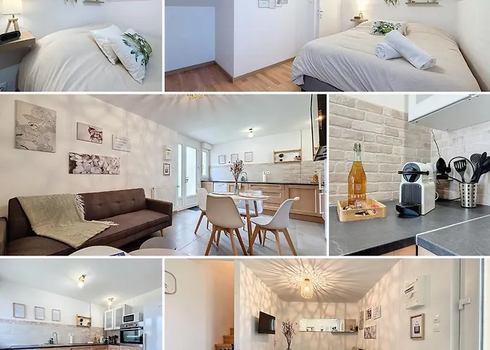 Le Jardin Des Plantes Et F2 Au Calmes, Terrasse, Stationnement Gratuit Rouen