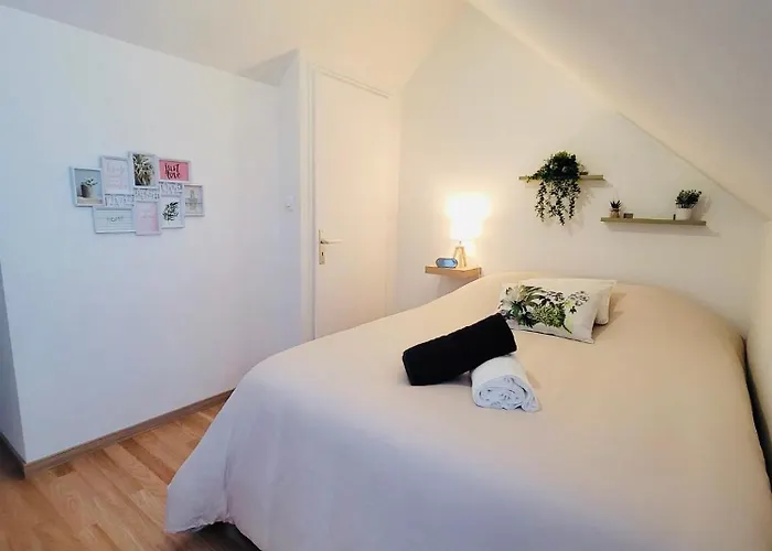 Le Jardin Des Plantes Et F2 Au Calmes, Terrasse, Stationnement Gratuit