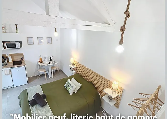 Appartement Le Jardin Des Plantes Et F2 Au Calmes, Terrasse, Stationnement Gratuit *